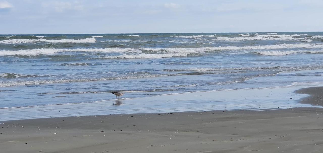 Isabelle Apartament Alezzi Beach Resort Mamaia Nord Năvodari 외부 사진